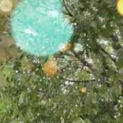 ヒメ日記 2025/09/14 09:27 投稿 のん 五反田・品川おかあさん