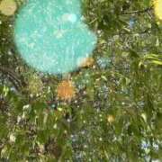 ヒメ日記 2025/09/25 09:03 投稿 のん 五反田・品川おかあさん