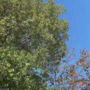 ヒメ日記 2025/11/03 09:23 投稿 のん 五反田・品川おかあさん