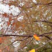 ヒメ日記 2025/11/05 08:23 投稿 のん 五反田・品川おかあさん