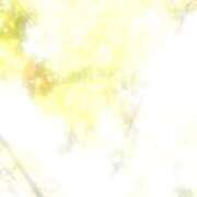 ヒメ日記 2025/11/12 09:35 投稿 のん 五反田・品川おかあさん