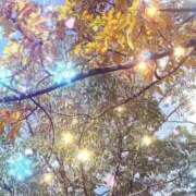 ヒメ日記 2025/11/24 09:33 投稿 のん 五反田・品川おかあさん