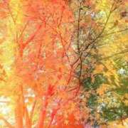 ヒメ日記 2025/11/29 08:33 投稿 のん 五反田・品川おかあさん