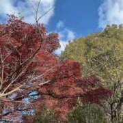 のん おはようございます✨ 五反田・品川おかあさん