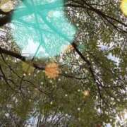 ヒメ日記 2025/12/27 09:33 投稿 のん 五反田・品川おかあさん