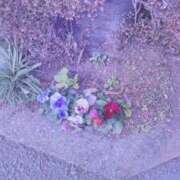 ヒメ日記 2026/01/02 10:53 投稿 のん 五反田・品川おかあさん