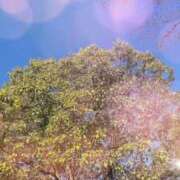 ヒメ日記 2026/01/03 09:23 投稿 のん 五反田・品川おかあさん