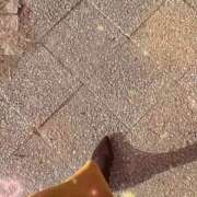 ヒメ日記 2026/01/19 09:43 投稿 のん 五反田・品川おかあさん