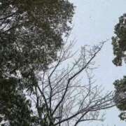 ヒメ日記 2026/02/08 09:43 投稿 のん 五反田・品川おかあさん