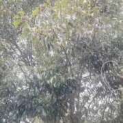 ヒメ日記 2026/03/16 09:13 投稿 のん 五反田・品川おかあさん