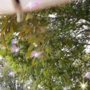 ヒメ日記 2026/03/23 09:23 投稿 のん 五反田・品川おかあさん