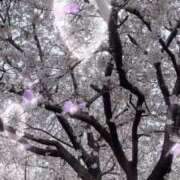 ヒメ日記 2026/04/04 09:23 投稿 のん 五反田・品川おかあさん