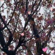 ヒメ日記 2026/04/10 09:13 投稿 のん 五反田・品川おかあさん