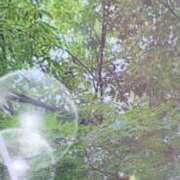 ヒメ日記 2026/08/16 08:53 投稿 のん 五反田・品川おかあさん