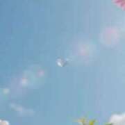 ヒメ日記 2026/09/02 09:23 投稿 のん 五反田・品川おかあさん