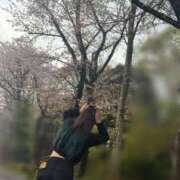 ヒメ日記 2025/04/12 15:35 投稿 加藤　れいこ つくば風俗エキスプレス   ヌキ坂46