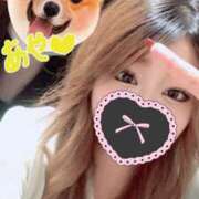 ヒメ日記 2025/04/12 20:44 投稿 加藤　れいこ つくば風俗エキスプレス   ヌキ坂46