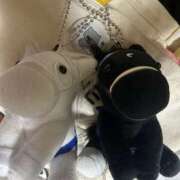 ヒメ日記 2025/07/26 00:54 投稿 加藤　れいこ つくば風俗エキスプレス   ヌキ坂46