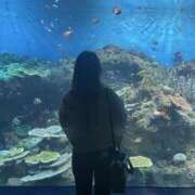 ヒメ日記 2025/08/22 15:35 投稿 加藤　れいこ つくば風俗エキスプレス   ヌキ坂46