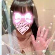 ヒメ日記 2025/08/23 14:30 投稿 プリン 恋の季節