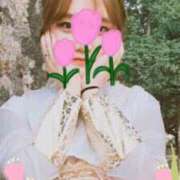 ヒメ日記 2025/11/17 16:55 投稿 プリン 恋の季節