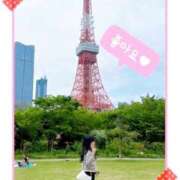 ヒメ日記 2025/11/23 13:30 投稿 プリン 恋の季節