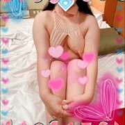 ヒメ日記 2025/11/25 15:00 投稿 プリン 恋の季節