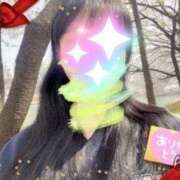 ヒメ日記 2025/12/11 12:47 投稿 プリン 恋の季節