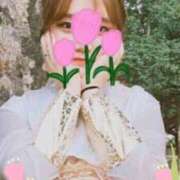 ヒメ日記 2025/12/25 10:50 投稿 プリン 恋の季節