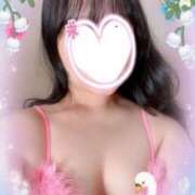 ヒメ日記 2026/01/31 11:20 投稿 プリン 恋の季節