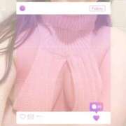 ヒメ日記 2026/02/02 10:53 投稿 プリン 恋の季節