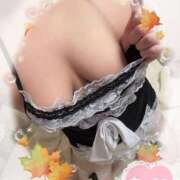 ヒメ日記 2026/02/20 11:42 投稿 プリン 恋の季節