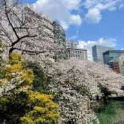 ヒメ日記 2025/04/15 12:03 投稿 きらり One More奥様　立川店