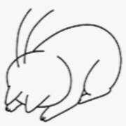 ヒメ日記 2025/03/08 09:25 投稿 たま 人妻・若妻デリヘル レディプレイス