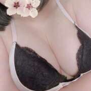 ヒメ日記 2025/07/15 09:45 投稿 たま 人妻・若妻デリヘル レディプレイス