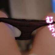 ヒメ日記 2025/10/13 23:47 投稿 たま 人妻・若妻デリヘル レディプレイス