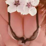 ヒメ日記 2025/11/02 22:13 投稿 たま 人妻・若妻デリヘル レディプレイス