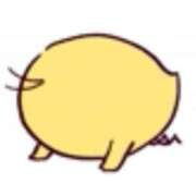 ヒメ日記 2025/12/16 21:02 投稿 たま 人妻・若妻デリヘル レディプレイス