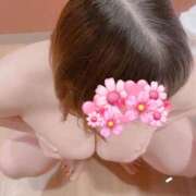 ヒメ日記 2026/02/02 15:50 投稿 たま 人妻・若妻デリヘル レディプレイス