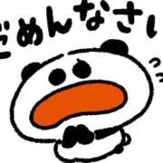 ヒメ日記 2026/02/10 20:17 投稿 たま 人妻・若妻デリヘル レディプレイス