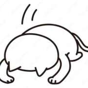 ヒメ日記 2026/03/14 09:21 投稿 たま 人妻・若妻デリヘル レディプレイス