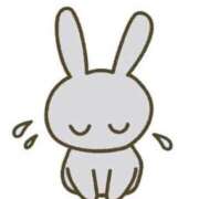 ヒメ日記 2026/03/23 09:26 投稿 たま 人妻・若妻デリヘル レディプレイス