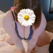 ヒメ日記 2026/04/08 18:45 投稿 たま 人妻・若妻デリヘル レディプレイス