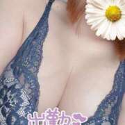 ヒメ日記 2026/06/30 10:03 投稿 たま 人妻・若妻デリヘル レディプレイス
