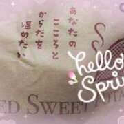 ヒメ日記 2025/03/30 19:15 投稿 さゆみ 小岩人妻花壇