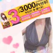 ヒメ日記 2025/08/28 14:04 投稿 さゆみ 小岩人妻花壇