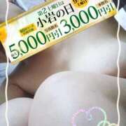 ヒメ日記 2025/09/13 13:26 投稿 さゆみ 小岩人妻花壇