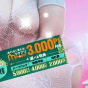 ヒメ日記 2026/03/23 13:53 投稿 さゆみ 小岩人妻花壇