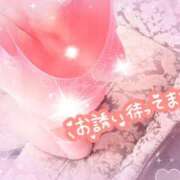 ヒメ日記 2026/03/31 11:04 投稿 さゆみ 小岩人妻花壇