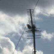 ヒメ日記 2025/02/07 03:26 投稿 ろーらん 川崎ソープ　クリスタル京都南町